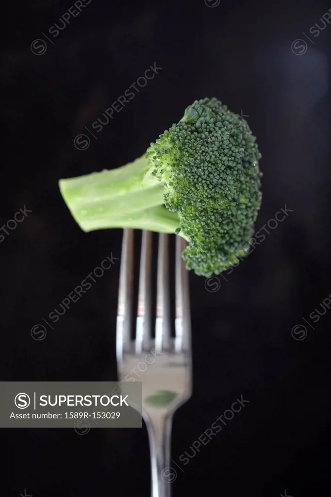 Broccoli floret on fork