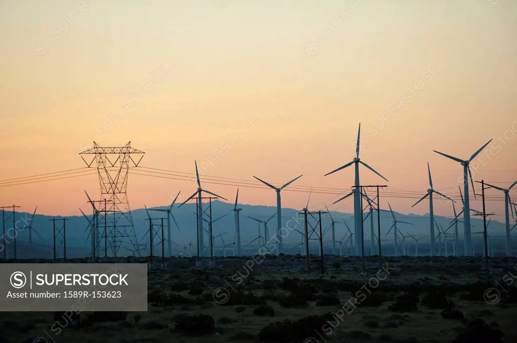 Wind farm in desert at sunset