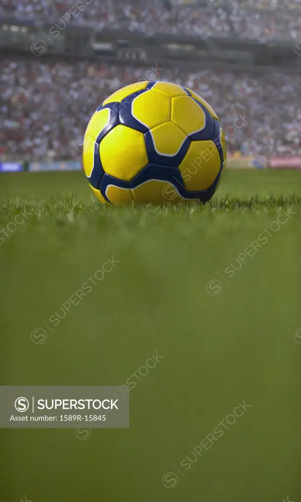 Soccer ball resting on grass