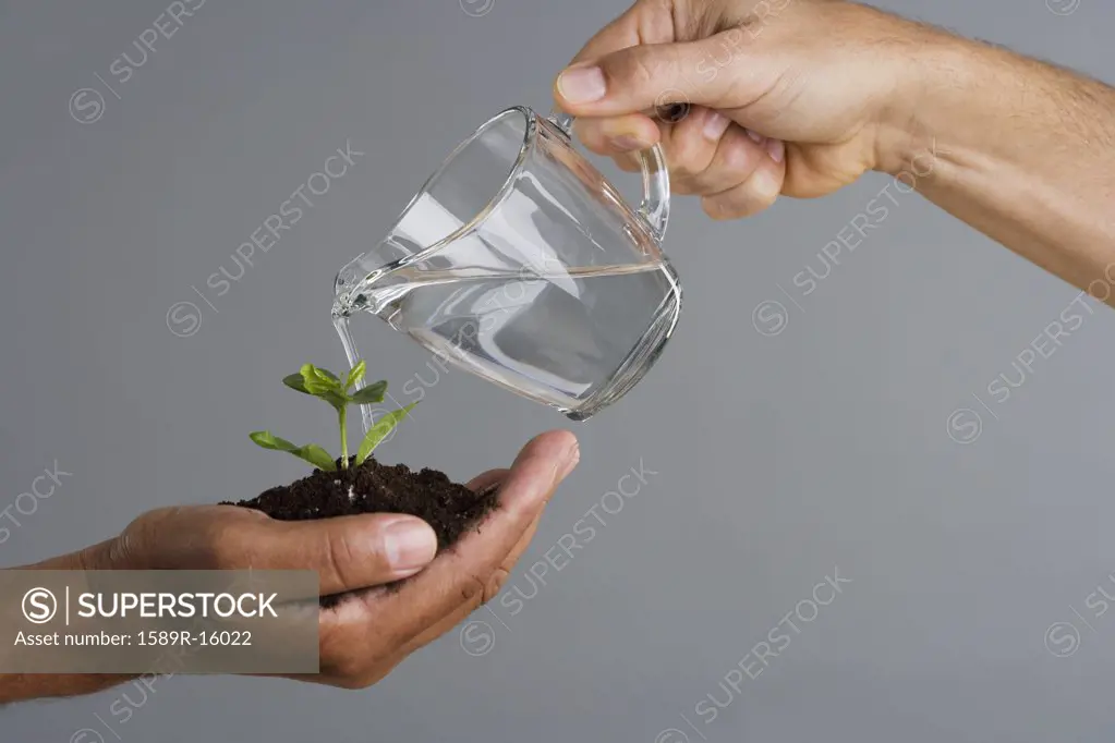 Close up of hand holding mound of dirt and plant with another hand watering it