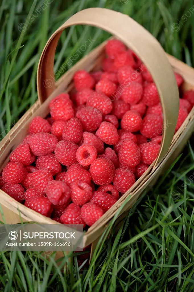 Fresh, red raspberries in basket