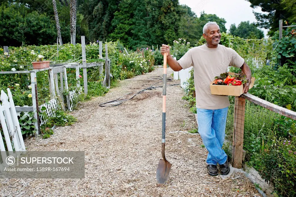 Black man gathering vegetables in community garden