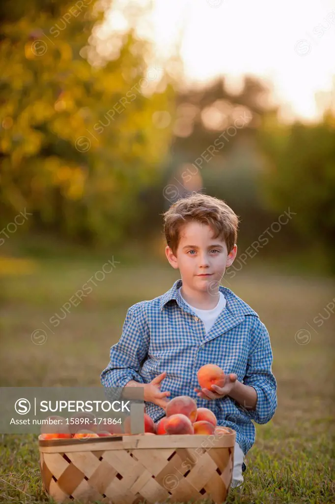 Caucasian boy picking fruit in orchard