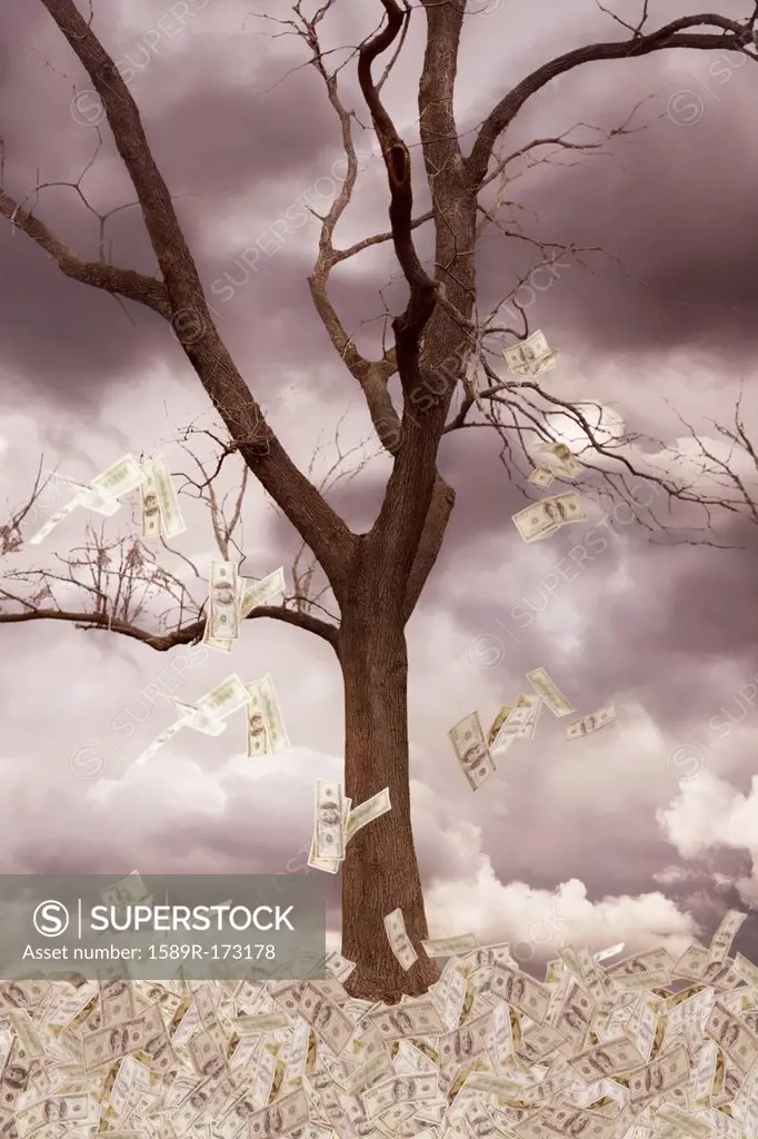Illustration of dollar bills falling from tree in storm