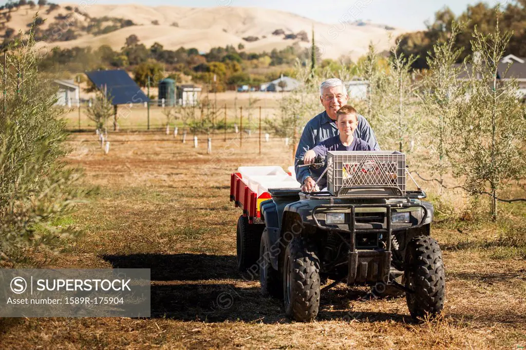 Older Caucasian man and grandson on four wheeler in olive grove