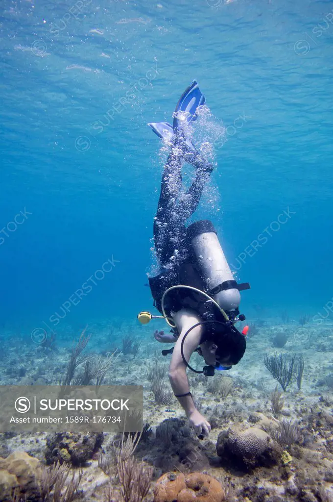Hispanic diver examining coral underwater