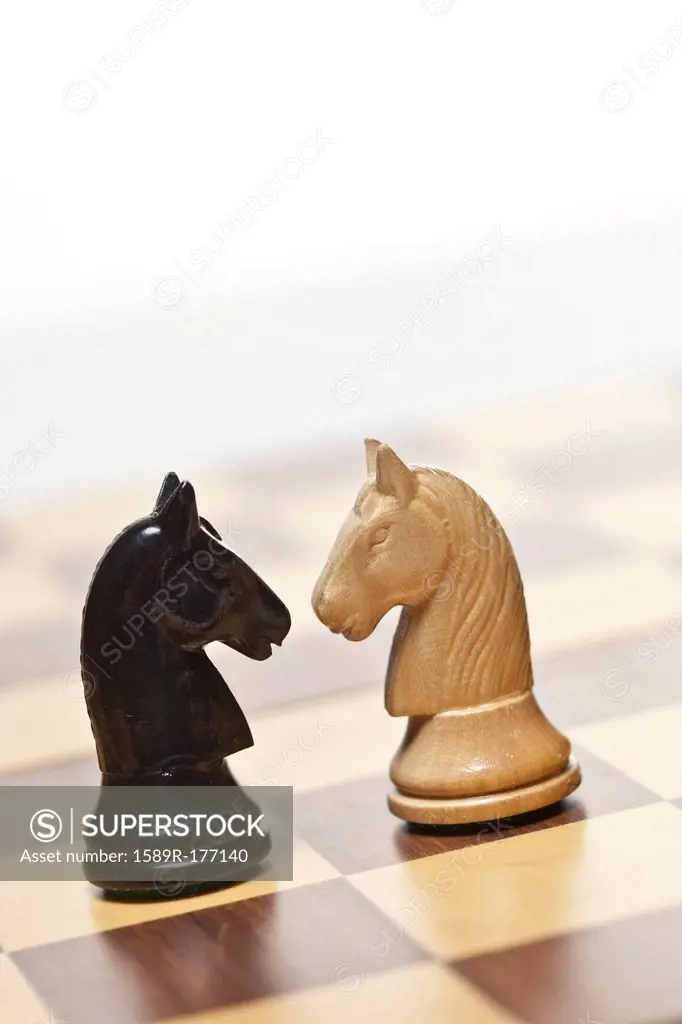Close up of knight chess pieces