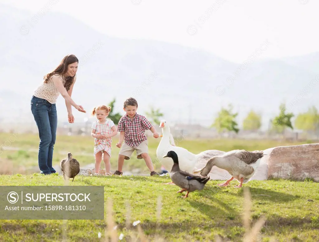 Caucasian mother and children feeding ducks and geese