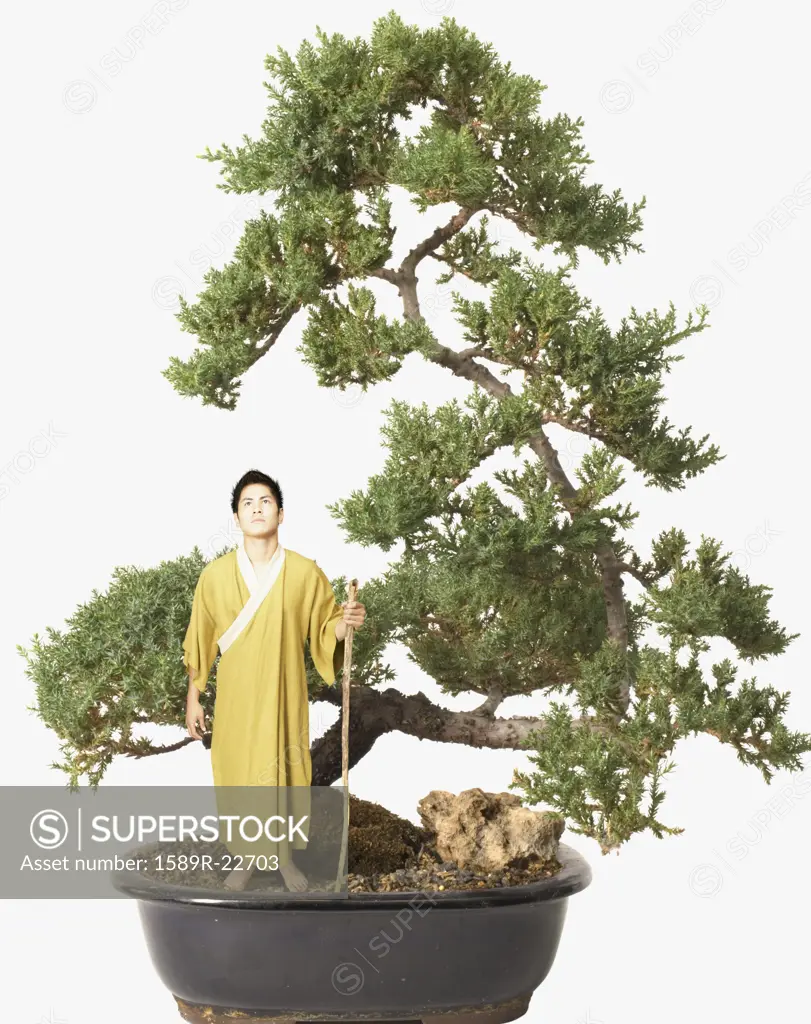 Young man standing by a giant bansai tree