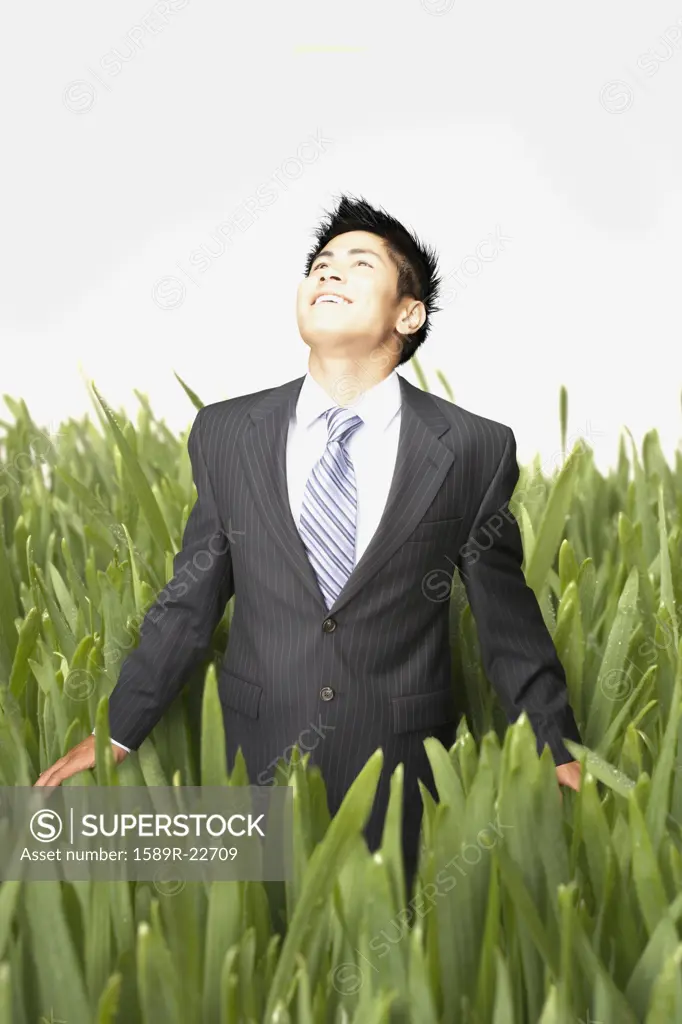 Businessman standing in tall grass