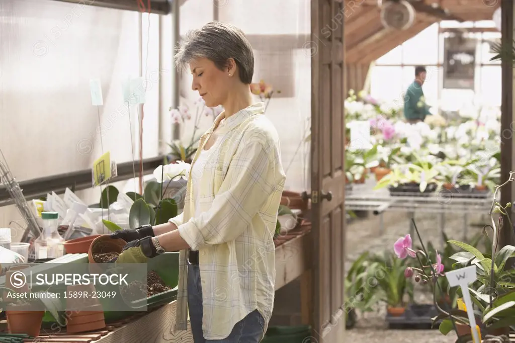 Hispanic woman in greenhouse potting flowers