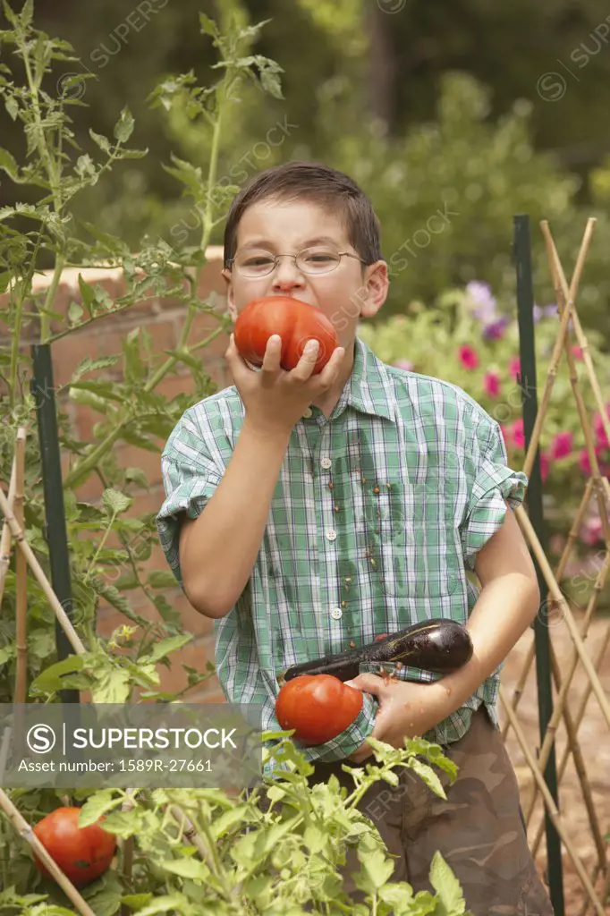 Young Asian boy eating tomatoes in garden