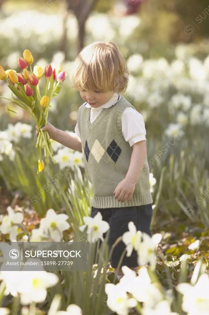 Young boy picking flowers in garden