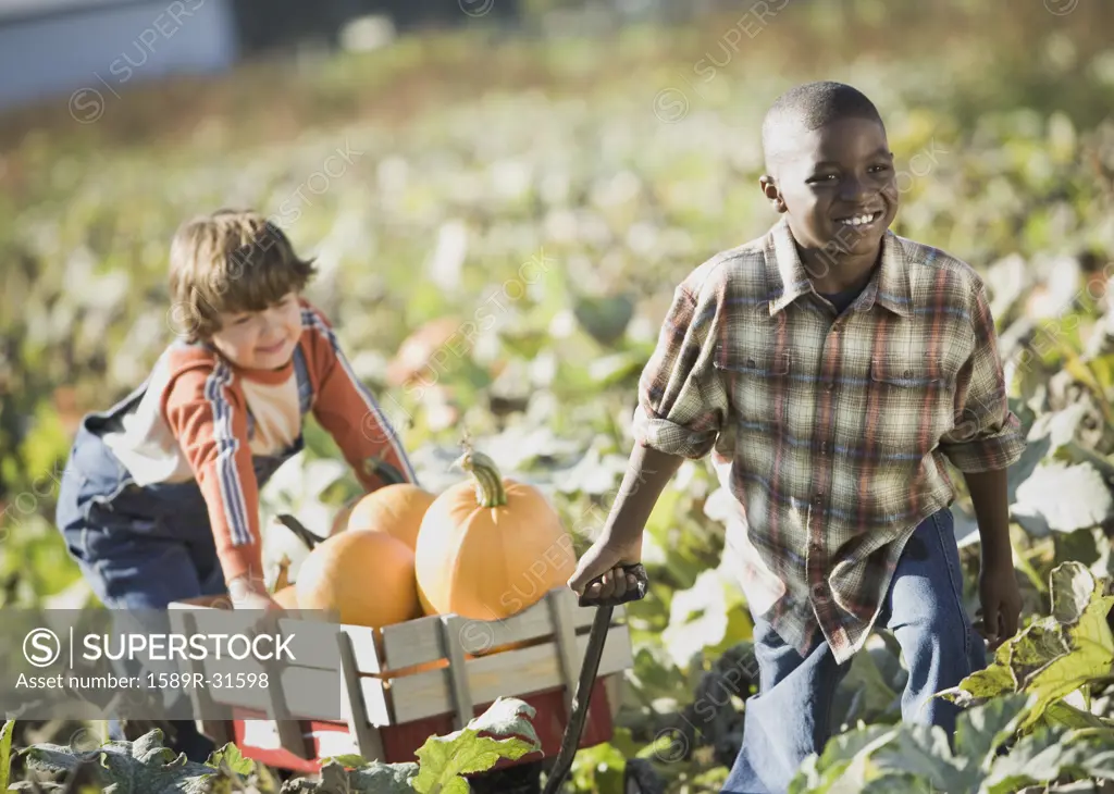 Two boys pulling wagon through pumpkin patch