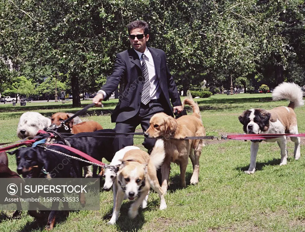 Hispanic businessman walking dogs in park
