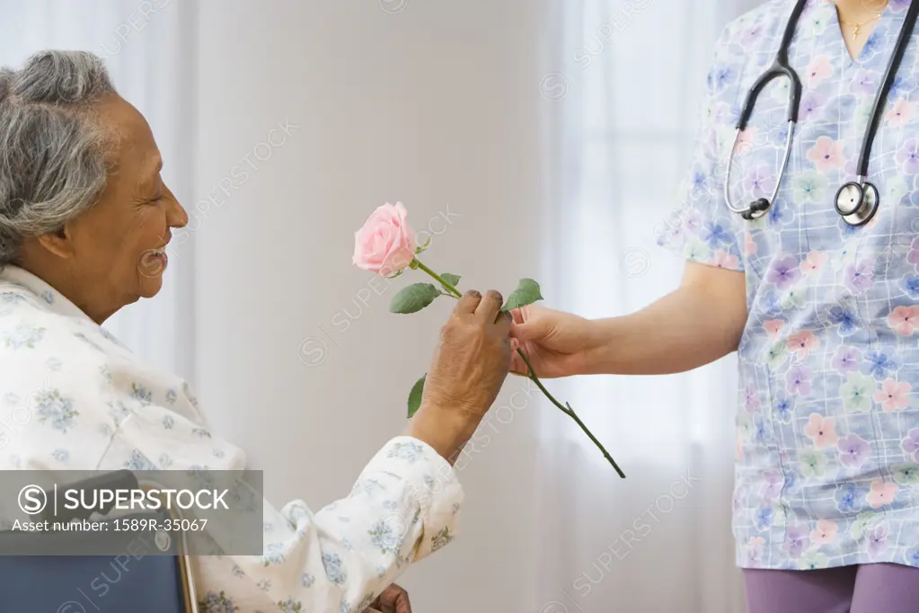 Nurse giving senior African woman in wheelchair a rose