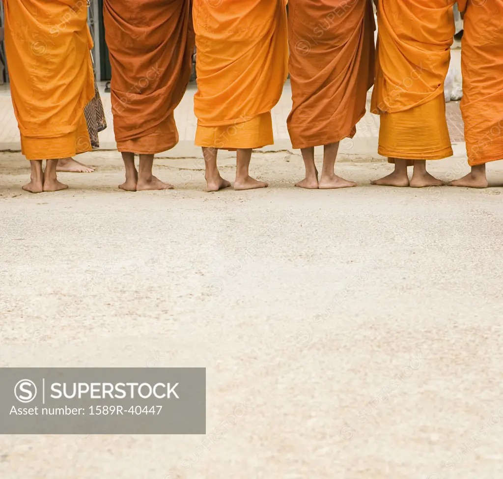 Rear view of monks standing in a row