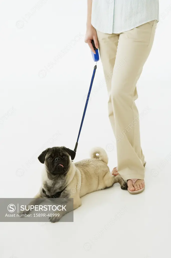 Dog on leash next to woman