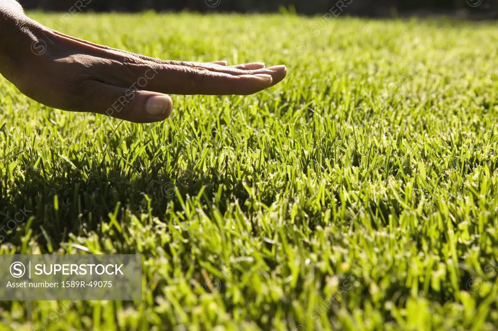 Close up of hand over grass