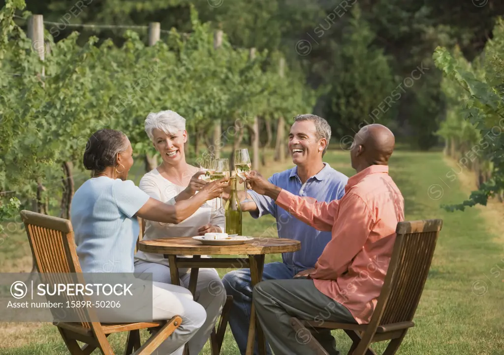 Multi-ethnic senior couple toasting with wine
