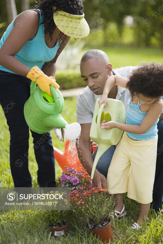 African family watering flowers