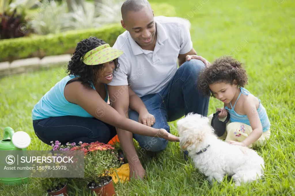 African family petting dog