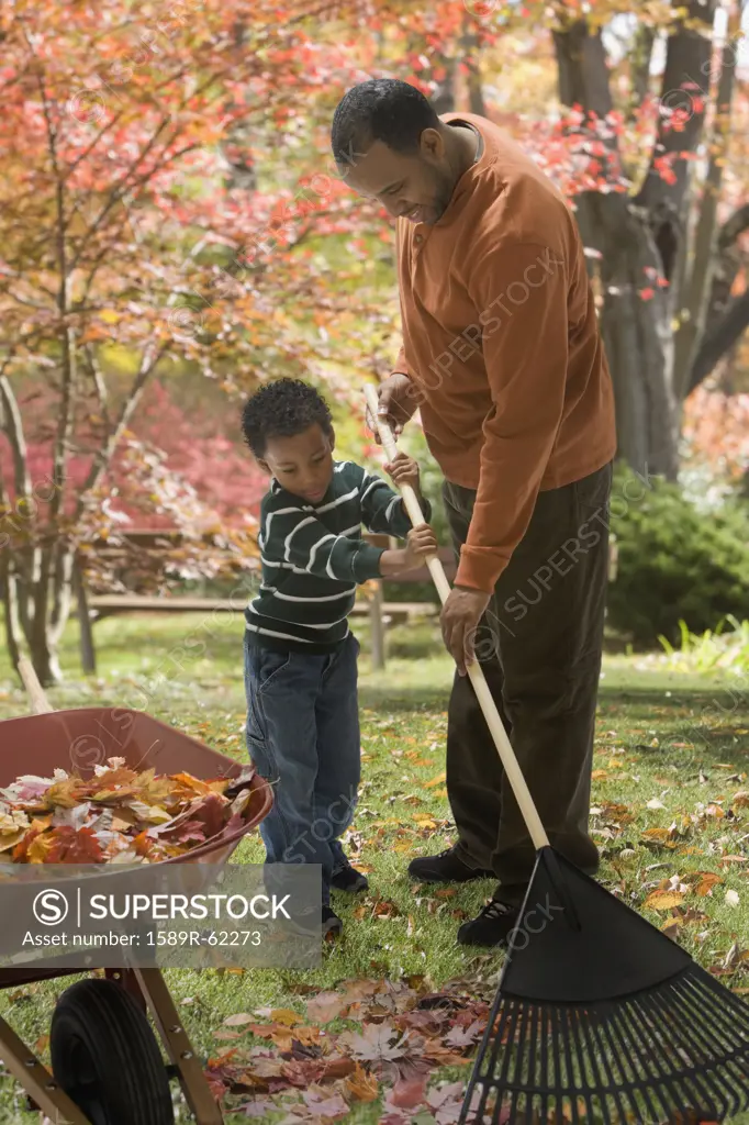 African father and son raking leaves