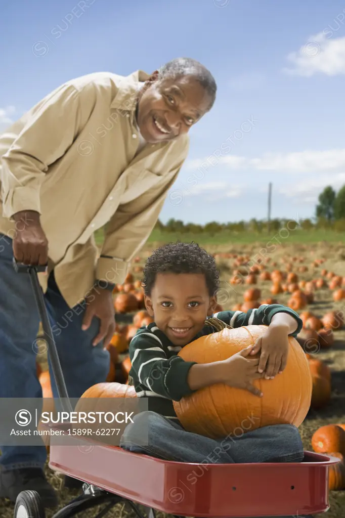 African grandfather pushing grandson with pumpkin in wagon