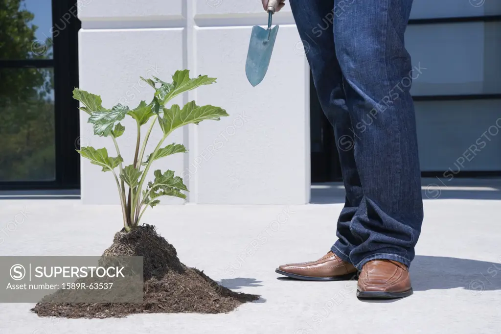 Asian man standing near pile of soil and plant
