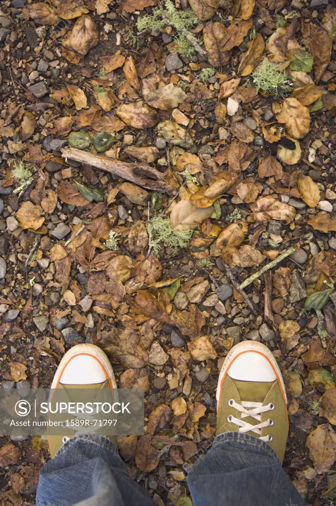 High angle view of sneakers on nature trail