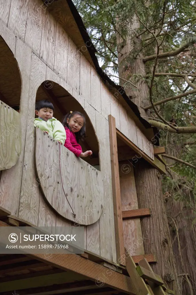 Korean children playing in tree house