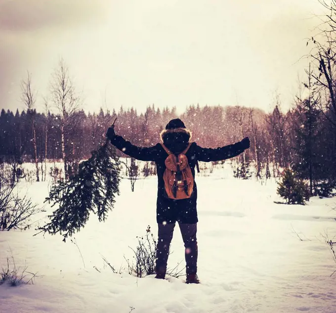 Caucasian man carrying tree in snowy field