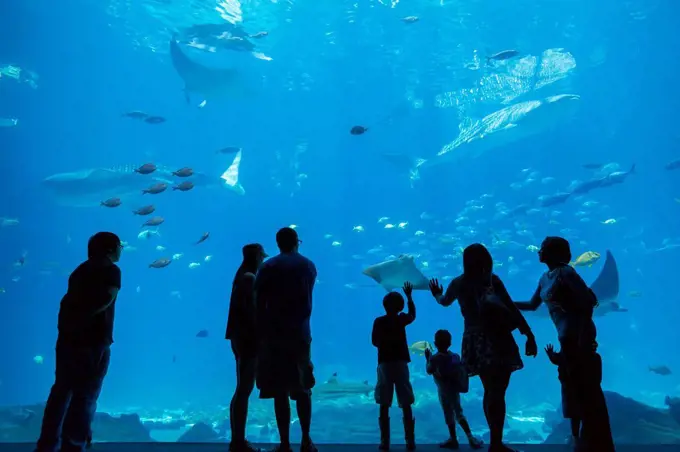 People admiring fish in aquarium