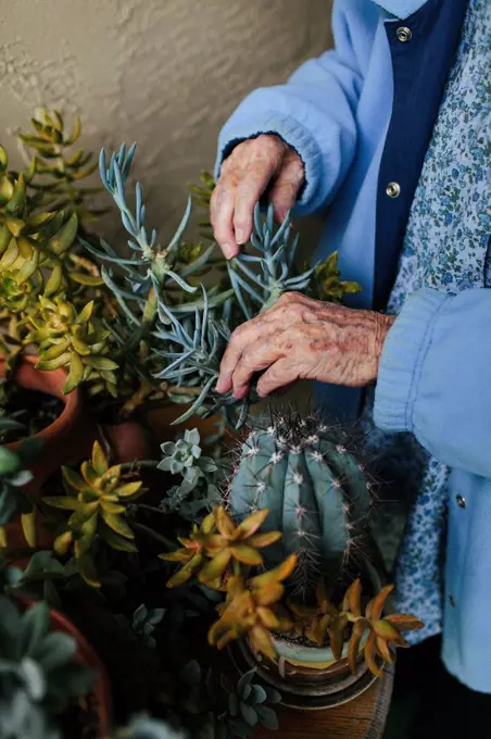 Older mixed race woman caring for potted plants