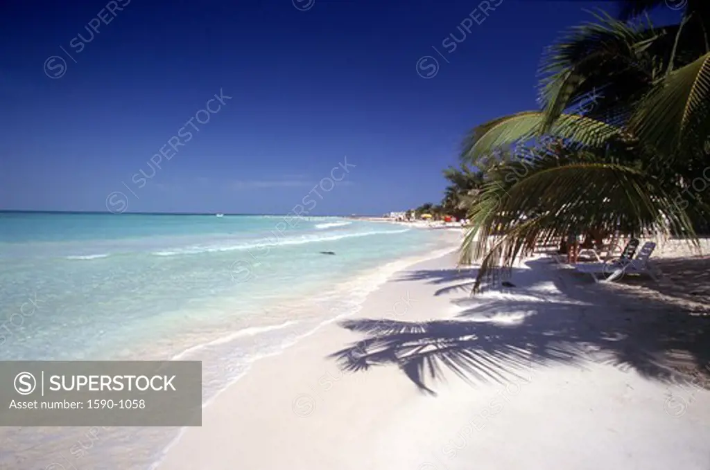 Mexico, Isla Mujeres, Playa Cocteros, Exotic beach with palm tree and crystal water