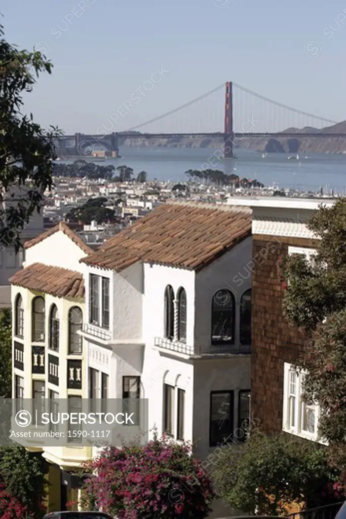 USA, San Francisco, View from Russian Hill