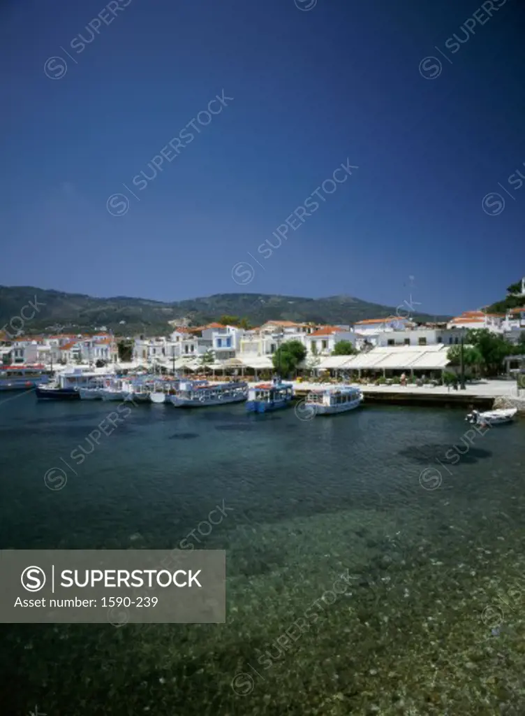 Skiathos Sporades Islands Greece
