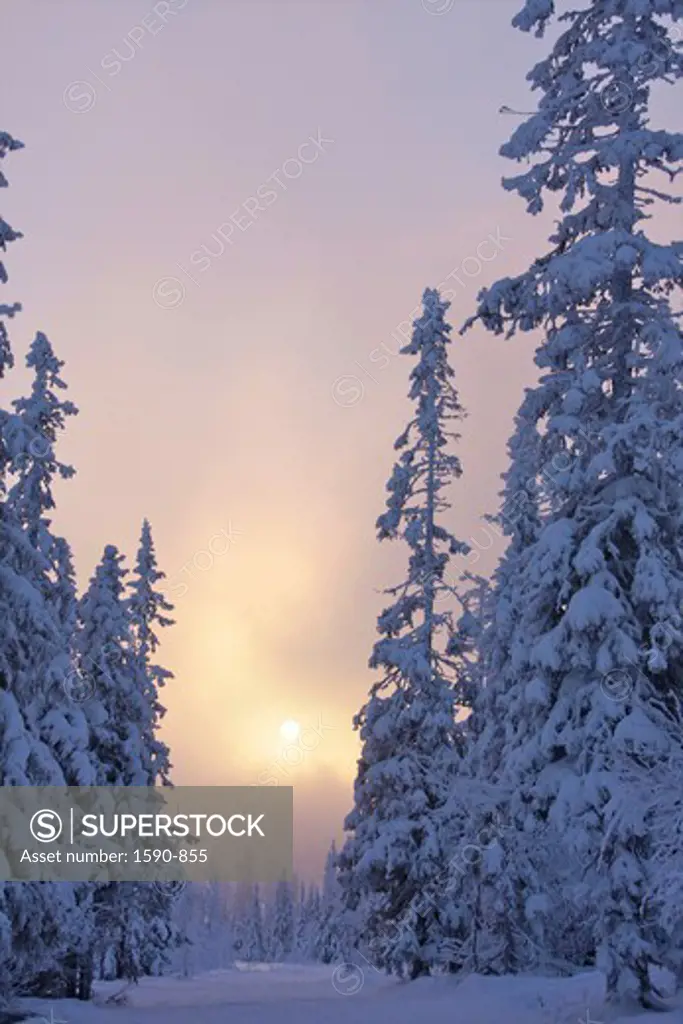 Sweden, Jamtland, Vemdalen, Vemdalsskalet Ski Resort