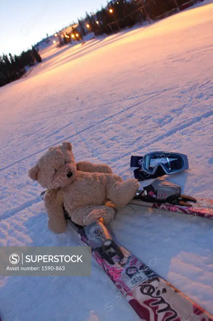 Sweden, Jamtland, Vemdalen, Vemdalsskalet Ski Resort, teddy bear with skis and goggles