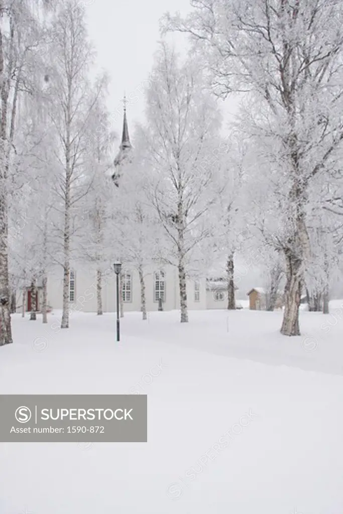 Sweden, Jamtland, Vemdalen, trees with church's tower