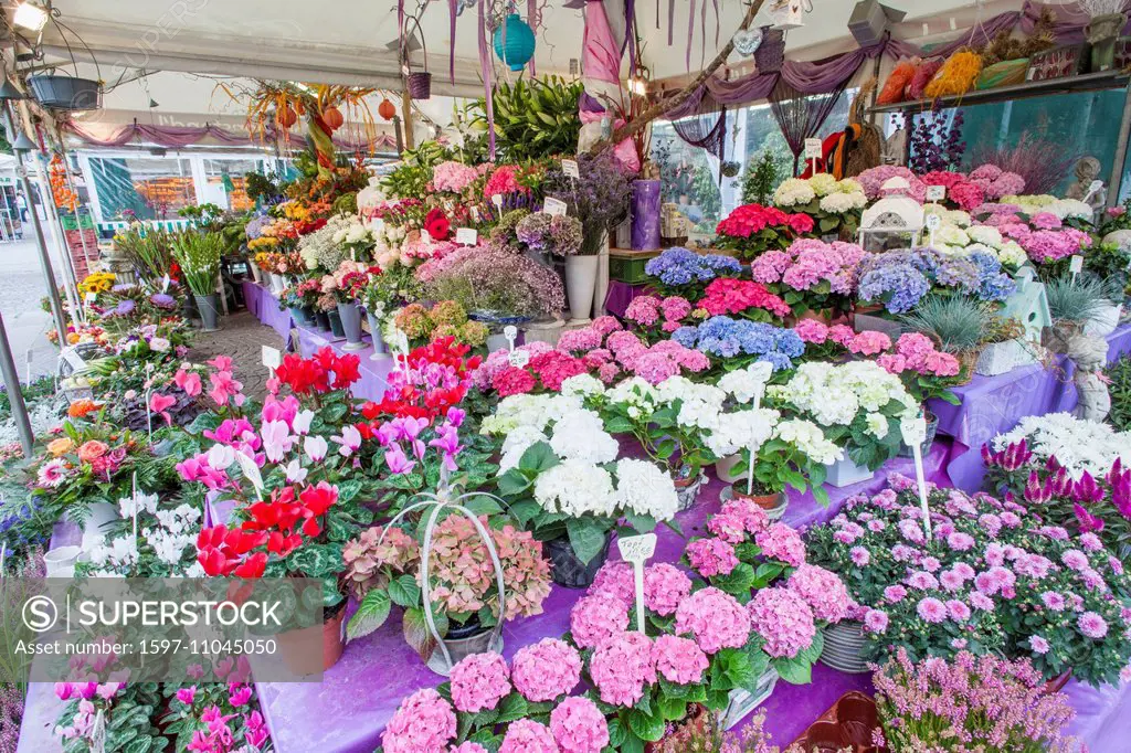 Germany, Bavaria, Munich, Victualienmarkt, Flower Shop Display