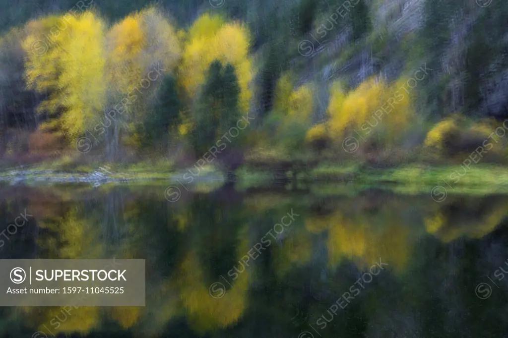 fall, fall colour, experiment, multiple images, abstract, impressionistic, impressionist, reflection, creek, brook stream, river, Wenatchee River