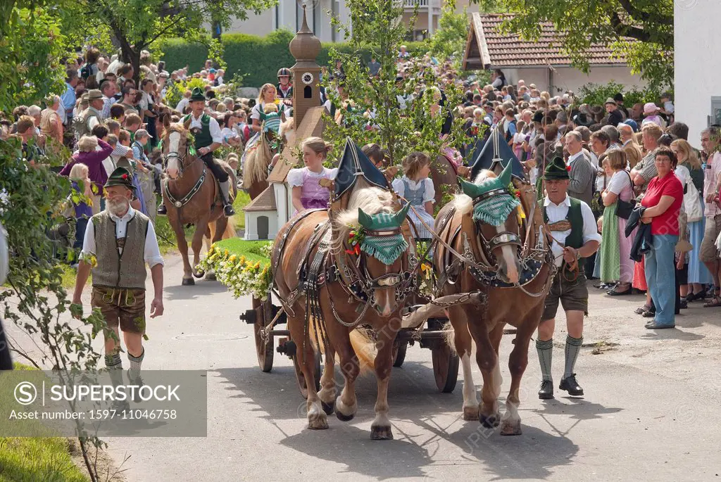 Bavaria, Germany, Europe, Upper Bavaria, Berchtesgaden area, Teisendorf, Holzhausen, horse, horses, national costume, Trachtler, decorated, embroidere...