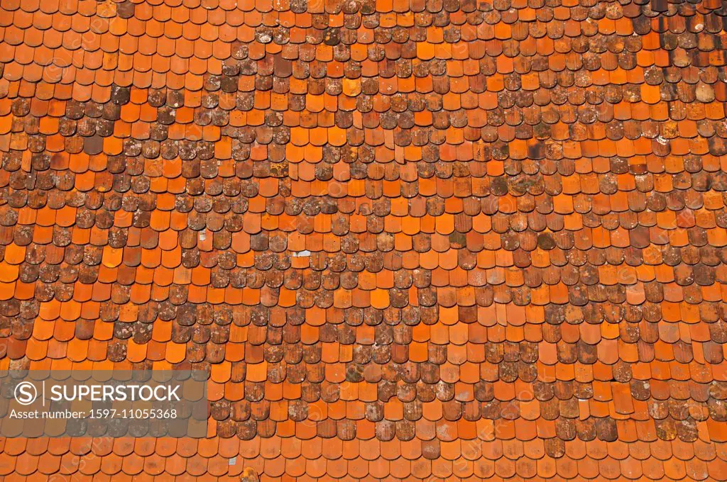 Beaver's tail, roof records, Germany, Europe, roofing tile,