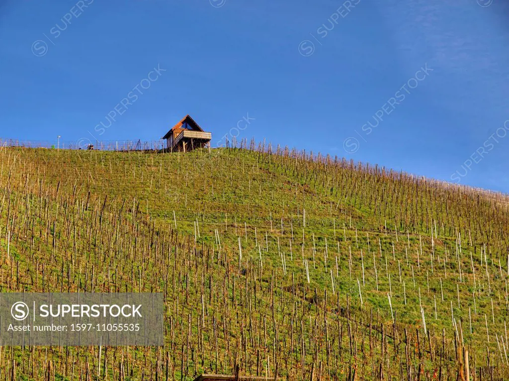 Switzerland, Europe, canton Schaffhausen, blue, sky, vineyard, vine stocks, vines, Rhine, winegrower's house