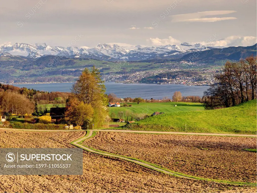 Switzerland, Europe, canton Zurich, field, Alps, country lane, field, spring, Herrliberg, Zurich, lake Zurich