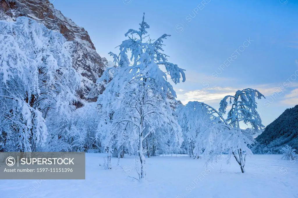 Klöntal, Switzerland, Europe, canton Glarus, mountains, trees, snow, winter