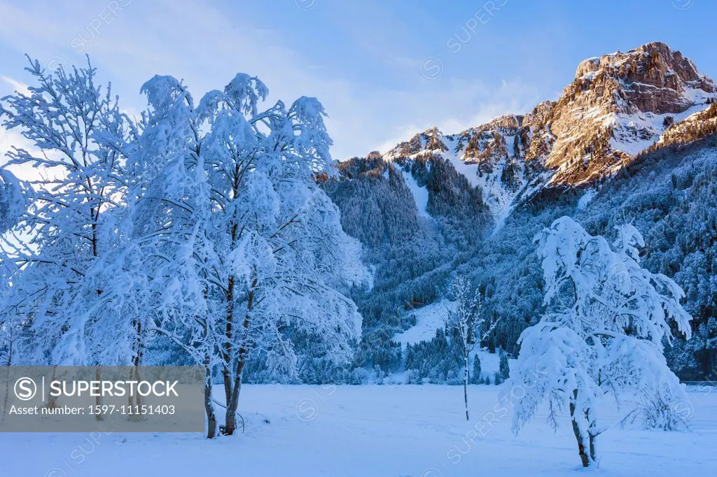 Klöntal, Switzerland, Europe, canton Glarus, mountains, trees, snow, winter, evening light