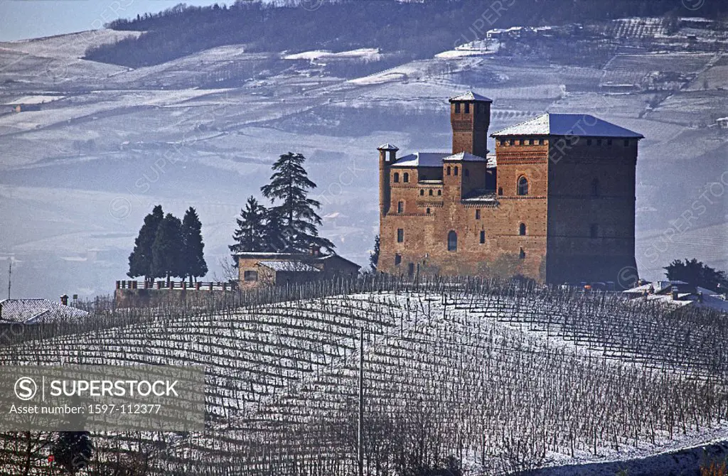 Castello di Grinzane Cavour, castle, wine, vineyard, cultivation, outhouse, agriculture, series, picture series, seaso