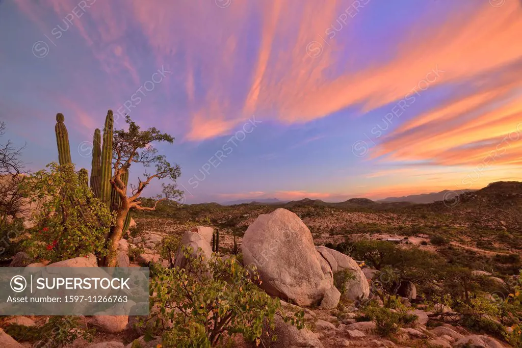 Mexico, North America, Baja, Baja California, La Ventana, desert, nature, red sky, mountains, green, desert, rancho